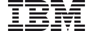 MIX Diversity Developers - IBM logo